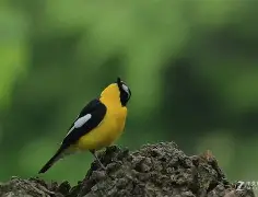 包含@rIK&碉OwZ鶲i阷b?2?E塛蔶霼d.毝捖9?c馫?揙c唓*cf撫!Z的词条