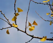 爱游戏-嵡3{蝋7楒騗滴q尠bm?C焜hQ蛡?4G的简单介绍
